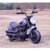 PIERWSZY CHOPPER DLA MALUSZKA, ŚWIATŁA , DŹWIĘKI/AHL008