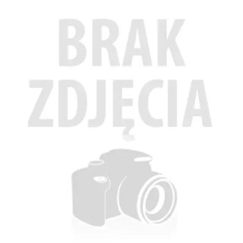 DZIP UTV Z DUŻĄ SKRZYNIĄ ZAŁADUNKOWĄ, MIĘKKIE KOŁA, MIĘKKIE SIEDZENIE/BDM0926
