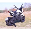 OLBRZMI MOTOR CROSS  STRONG 2 EXCLUSIVE, AMORTYZATOR, GAZ W MANETCE /BLF918