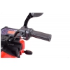 OLBRZMI MOTOR CROSS  STRONG 2 EXCLUSIVE, AMORTYZATOR, GAZ W MANETCE /BLF918