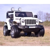 JEEP WRANGLER RUBICON  MIĘKKIE KOŁA, MIĘKKIE SIEDZENIE, 4x4 PEŁNA OPCJA/DK-JWR555