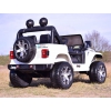 JEEP WRANGLER RUBICON  MIĘKKIE KOŁA, MIĘKKIE SIEDZENIE, 4x4 PEŁNA OPCJA/DK-JWR555