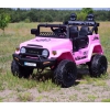 TOYOTA FJ CRUISER NA AKUMULATOR WERSJA  4X4, 180 WAT/JJ2099