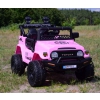 TOYOTA FJ CRUISER NA AKUMULATOR WERSJA  4X4, 180 WAT/JJ2099