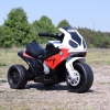 MOTOREK TRZYKOŁOWY NA LICENCJI BMW  S1000R/JT5188