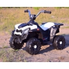 QUAD SPORT 1000  NA AKUMULATOR, DWA SILNIKI, PILOT/MDX608