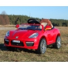 AUTO ROADSTER EXCLUSIVE Z ŚWIECĄCYMI KOŁAMI/SX158